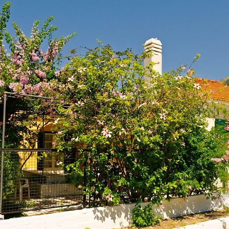 House With Garden Near The Sea Apartment Agia Efimia Exterior photo
