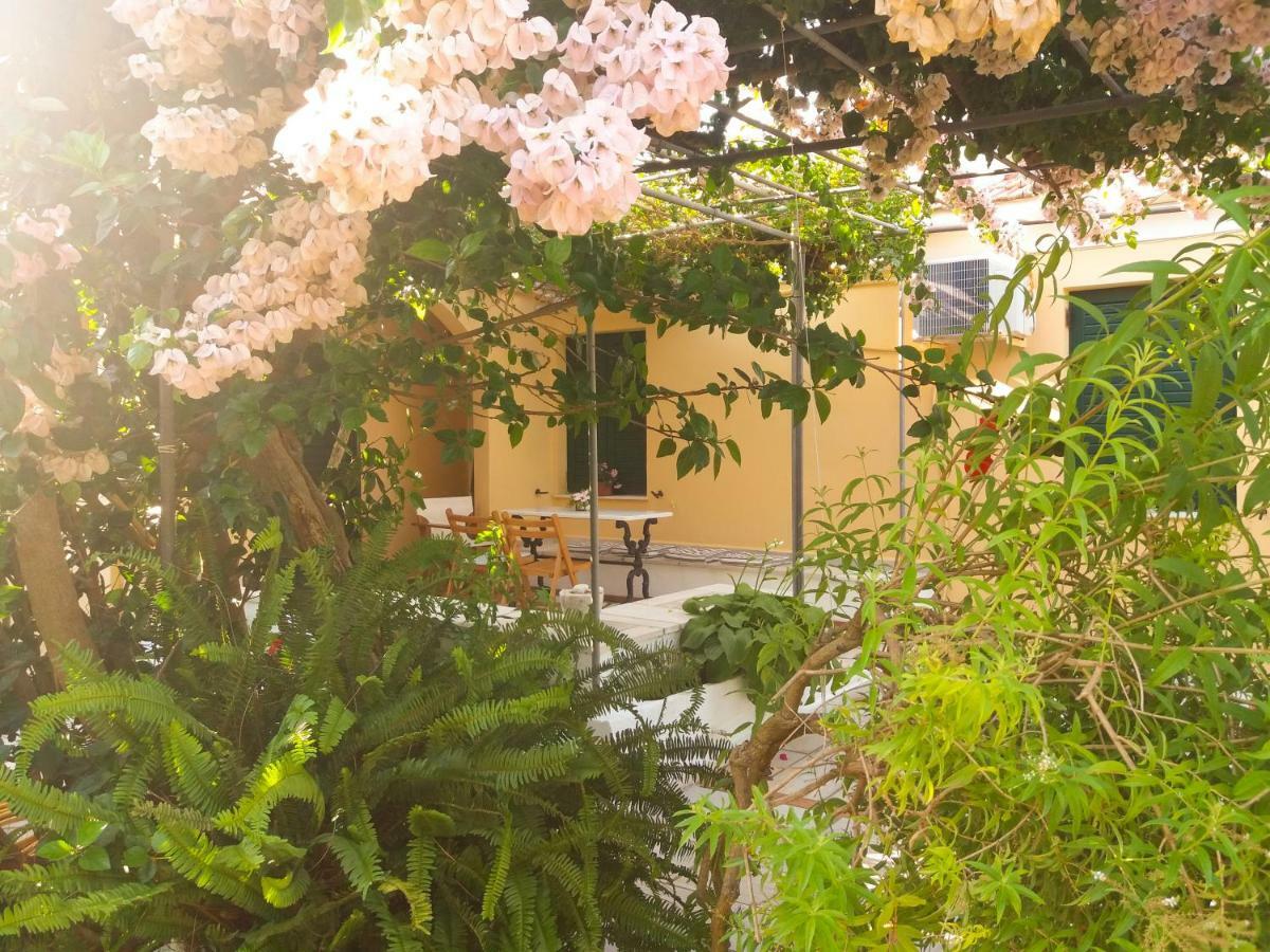 House With Garden Near The Sea Apartment Agia Efimia Exterior photo